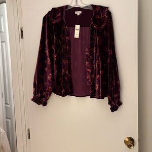 Anthropologie Pilcro Keira Velvet Floral Button-Up Blouse in Plum